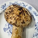 차씨네농장 이미지