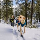 하방소 포레스트 이미지