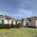 세오니네 이미지