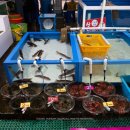 에이스마트 | 강릉 회포장 주문진어민수산시장 에이스마트 초장구매