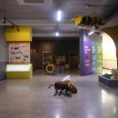 꿀벌랜드 이미지