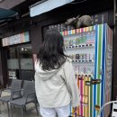 신사스타약국 | 대마도 히타카츠 1박 2일 여행기