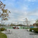 장밖휴게소 | 강아지 동반 여행 | 예산예당호 보다 평택호 휴게소가 좋은 이유 - 애견운동장 후기