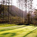 버드우드골프클럽 이미지