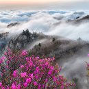 속리산 이미지