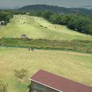 생활체육공원로 이미지