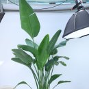 서울투탑재활의학과의원 이미지