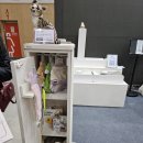 슬로우캣 | 2026 대전 궁디팡팡 캣페스타 다녀왔어요 궁팡 후기