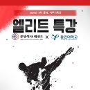 금일 태권도장 이미지