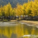 흙이랑 나무랑 이미지