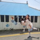 신기초등학교 | 구미 신평 벽화마을 (빨강 머리 앤, 키다리 아저씨, 플란다스의 개)♡