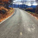 구지 오설 Daum카페