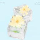 행복버리기 - 엔플라잉 이미지