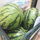 커피Pick