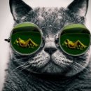 렌즈미&에비뉴 안경 이미지