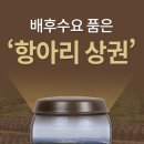 센텀프라자빌딩 이미지