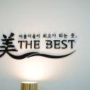 미더베스트