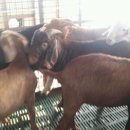 이천제이농장 이미지