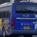 영덕운수 이미지