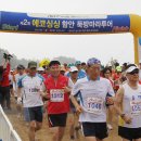 싱싱투어
