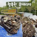 [인천] 행복한 순대리아 | 삼산동 순대트럭 찐 맛집