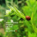 디퍼런트에이치알
