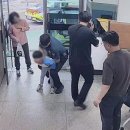 후평지구대 이미지