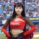 댕댕이네 이미지