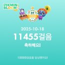 오토 뽑기방 | [일상] 포항갔다 대구갔다 홍길동이 돼 (매천시장 생새우 후기)