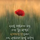 절차탁마 이미지