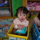 토마토시네마 이미지