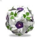 모닝글로리 이미지