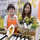 씨유 성수점 이미지