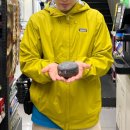 화남2차(아) 이미지