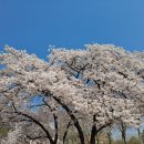 한주행정사 이미지