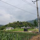 대일부동산중개사무소 이미지