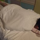 두손아로마 | 원당역마사지 두손바디샵, 발끝부터 시원했던 힐링 후기