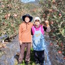 병열농장 이미지