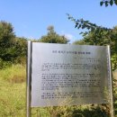 전첨 류세구묘역 이미지