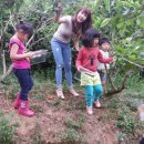 광일농장 이미지