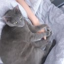 역전포차(조성) | 5월일상기록, 피자상회/사당모임/다산현대프리미엄아울렛/슬립버즈/부영포차/머리염색