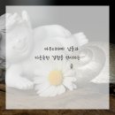 센스네일 - 진천군 | 센스네일