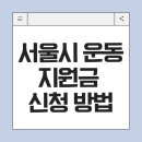 우리동네 테니스교실 | 서울시 운동 지원금 신청 방법 사이트 사용처 절차