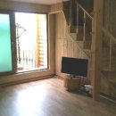 소나무 전경 이미지