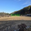 보광1리 이미지