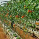 강화군농업기술센터 이미지