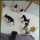 바우밸리 이미지