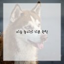 재미있는 미술놀이 이미지