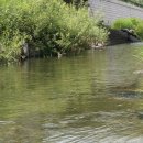 도심의 쉼터 이미지