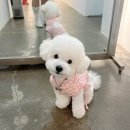 로림메이크업